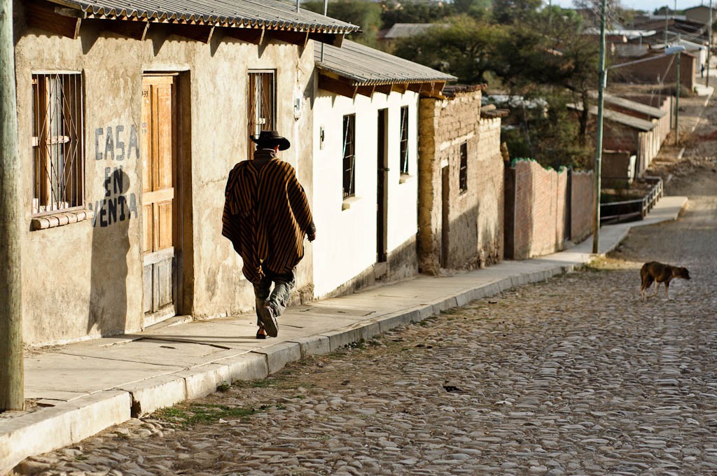 Image for Bolivia by Bus