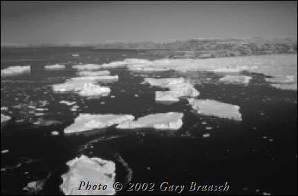 Image for The Arctic