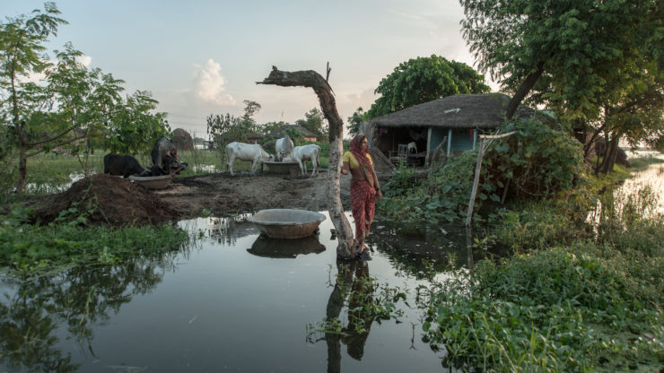 Image for Reporting the Untold Stories of Rural India