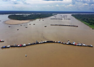 A “Fresh Start” Covering the Amazon