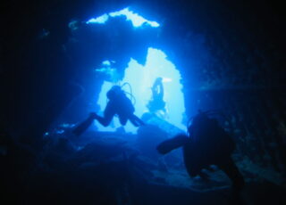 Finding a Good Hook: Hurricane Irma moves Joan Martelli, NF ’08, to finish her book about a storied wreck  