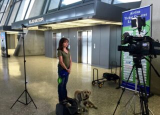 Andrea McCarren, NF ’07, finds a four-legged friend is an asset for her reporting