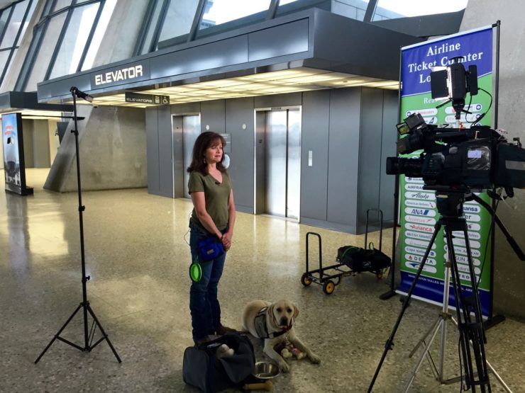 Image for Andrea McCarren, NF ’07, finds a four-legged friend is an asset for her reporting