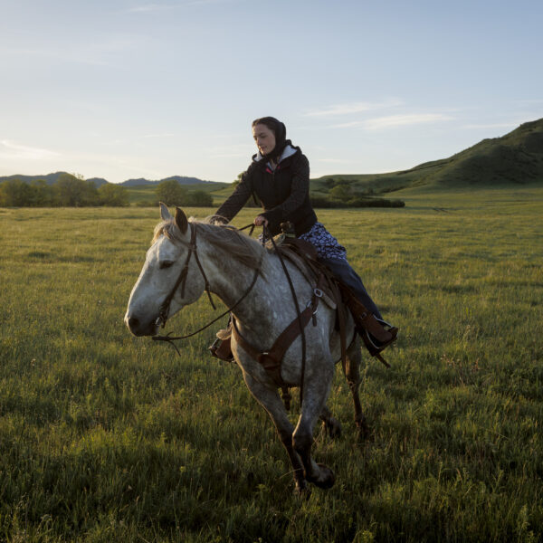 Image for Chronicling the Hutterites Over Time