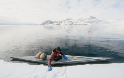 Image for On the Trail of the Narwhal