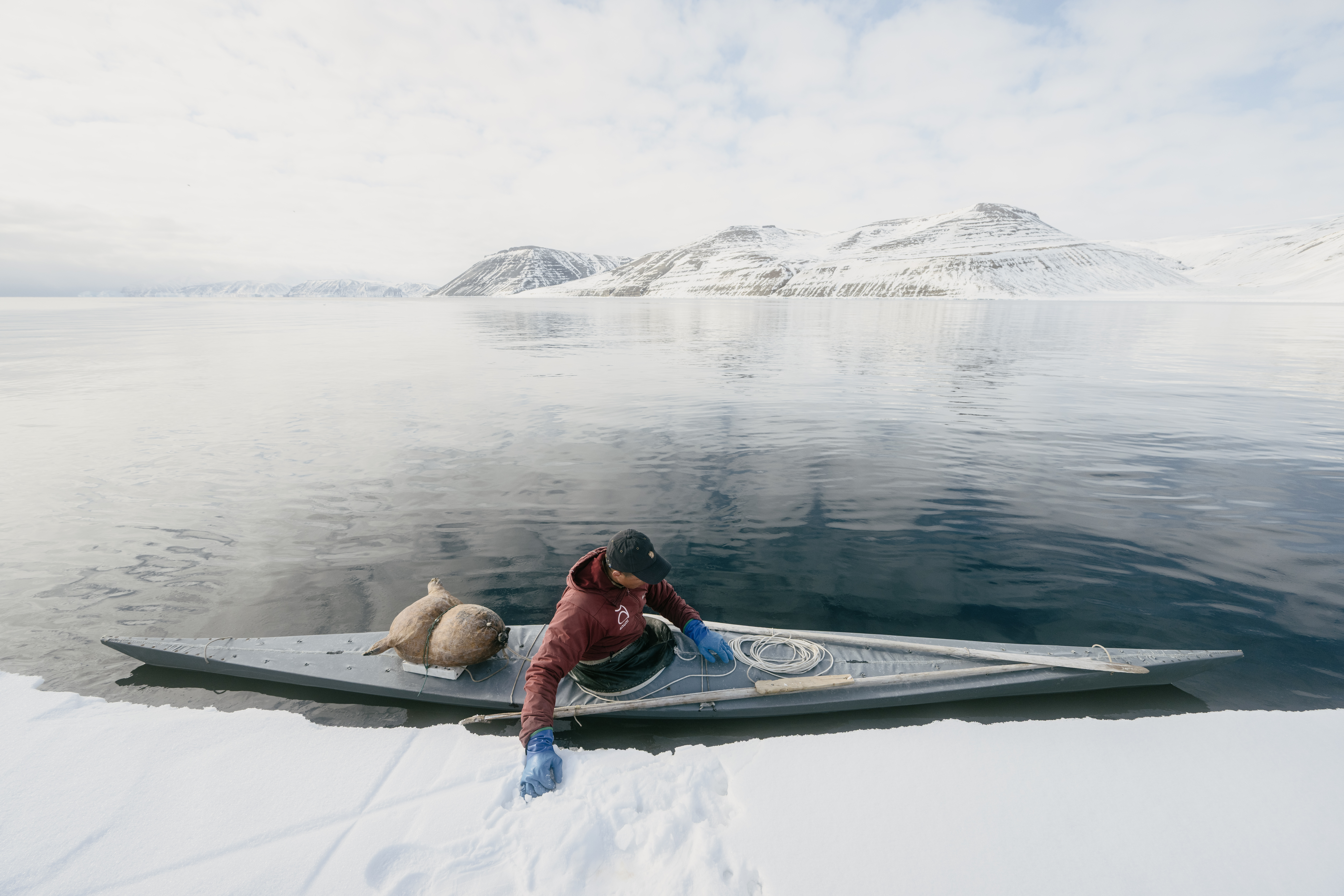 Image for On the Trail of the Narwhal