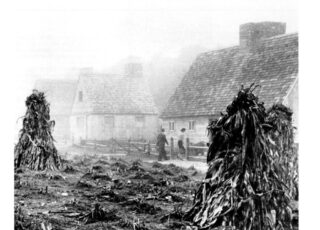 Fall 1984: Out Of The Press