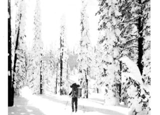 Winter 1983: Change and Exchange