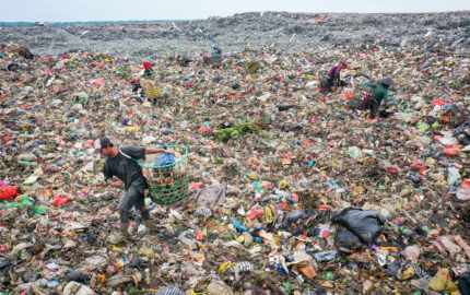 Image for Plastics Crisis Intrudes on Paradise