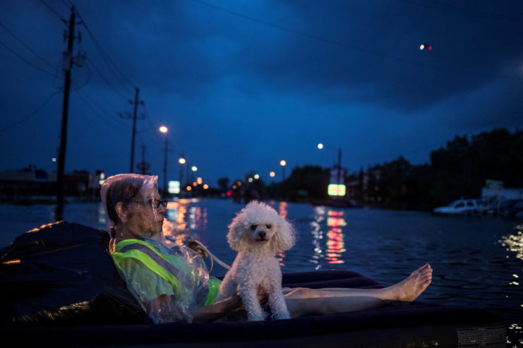 A rescue helicopter hovers in the background as a woman and her poodle use an air mattress to float above flood waters from Hurricane Harvey while waiting to be rescued from Scarsdale Boulevard in Houston