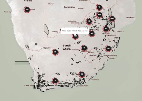 Oxpeckers’ #MineAlert app uses crowdsourced data to provide detailed information on mines across South Africa