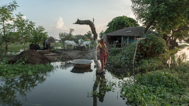 PARI features Senu Devi in a video about how rising waters and floods are threatening her village. PARI documents the lives of everyday people in rural India