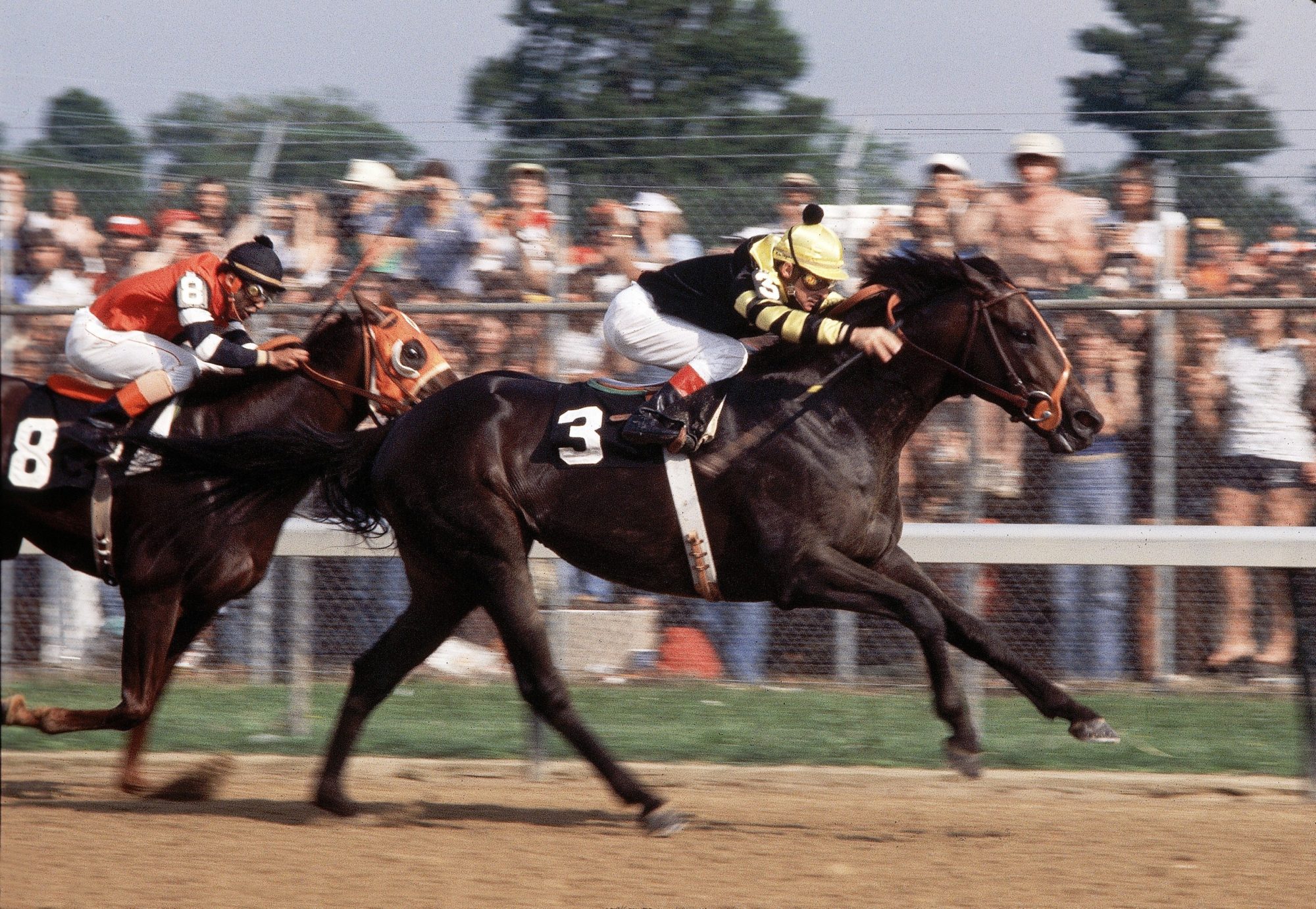 Jockey Jean Cruguet on Seattle Slew (saddle #3) at the 1977 Kentucky Derby 