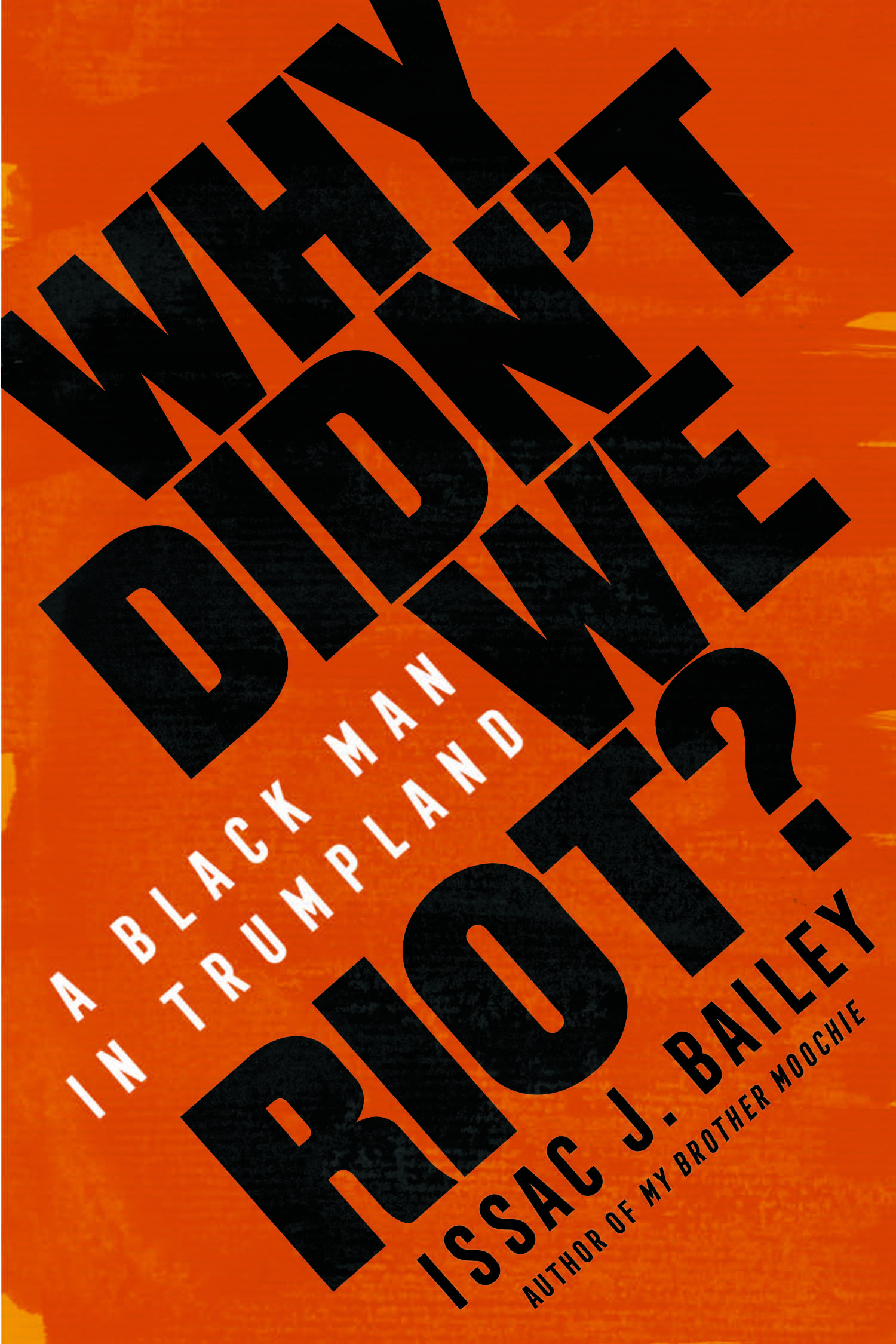 Why Didn't We Riot book cover