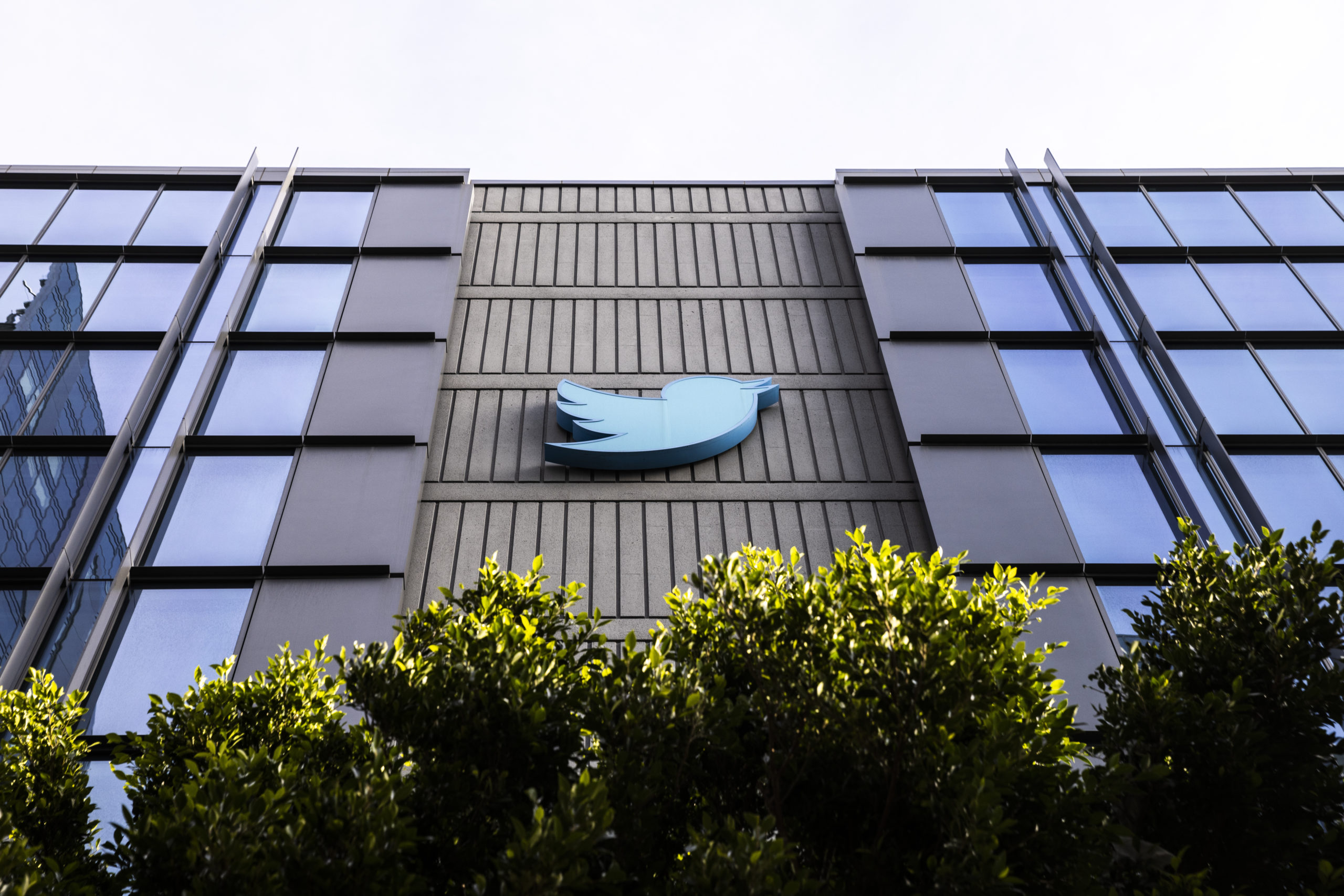 The Twitter logo is seen at the social media company's headquarters in San Francisco on Friday, Nov. 11, 2022. Musk making a mess of Twitter should be the catalyst for journalism to get to work